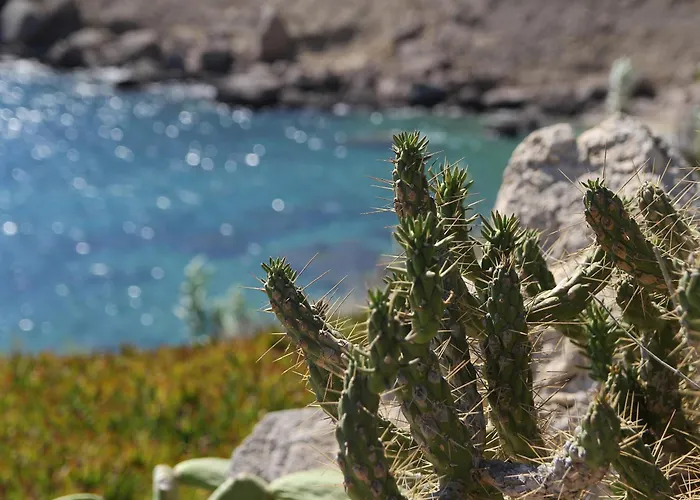 호텔 Mykonos Lolita, A Grecotel To Live Agios Sostis (Mykonos)