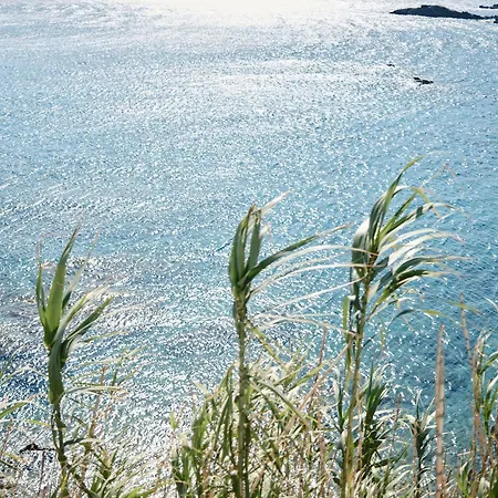 Mykonos Lolita, A Grecotel To Live Ξενοδοχείο