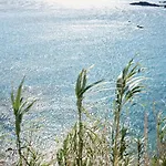 Mykonos Lolita, A Grecotel To Live Hotel