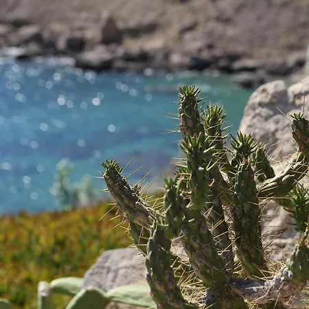 אתר נופש Mykonos Lolita, A Grecotel To Live Agios Sostis (Mykonos)